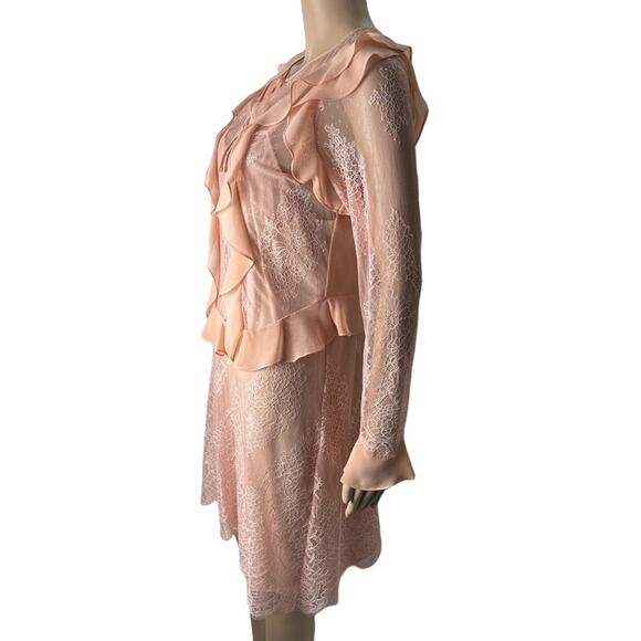 Delfi Collective X Anthropologie Luna Sheer Ruffle Lace Sheath Dress - Picture 3 of 13